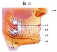 郑州哪家医院拔智齿比较好