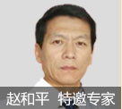 赵和平